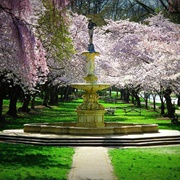 Brandywine, Delaware