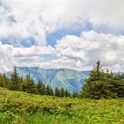 Chuprene Biosphere Reserve, Bulgaria