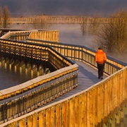 Billy Frank Jr. Nisqually National Wildlife Refuge