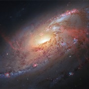 M106