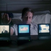 S7.E1: The Sixth Extinction