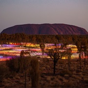 Uluru Field of Lights