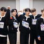 GANG Korean Chipmunk