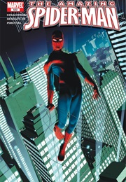 The Amazing Spider-Man #522 (J. Michael Straczynski & Mike Deodato Jr.)