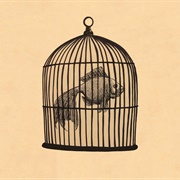 Fish in a Birdcage
