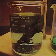 Ben Hur - Bitch Magnet