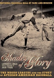 Shades of Glory: The Negro Leagues and the Story of African-Americans Baseball (Lawrence D. Hogan)