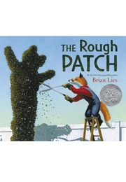The Rough Patch (Brian Lies)