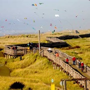 Long Beach Discovery Trail