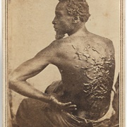 The Scourged Back (McPherson & Oliver)