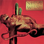 Steve Walsh - Smackin' the Clowns