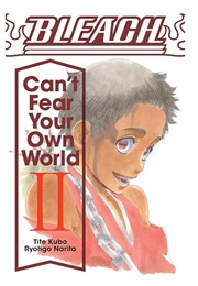 Bleach: Can't Fear Your Own World Vol 2 (Tite Kubo With Ryohgo Narita)