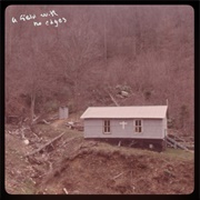 A Field With No Edges- Orchid Mantis