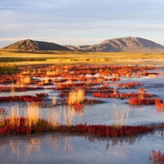 Ubsunorskaya Kotlovina Biosphere Reserve, Russia