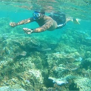 Palolo Deep Marine Reserve