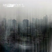 Controller - Misery Signals (2008)