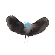 Charles Hayward & Dälek - Haywardxdälek