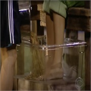 Big Brother: All Stars: "Pov" (S7,E11)