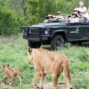Mala Mala, South Africa