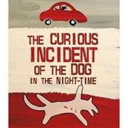 The Curious Incident of the Dog in the Night-Time