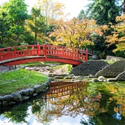 Jardins Du Musée D'Albert Khan