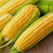 Iowa Sweet Corn (Iowa)