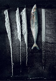 Turn of the Tide: The Surreal Story of Rabo De Peixe (2025)