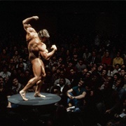 Arnold Schwarzenegger (Elliott Erwitt)