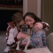 S5.E21: Clothes Encounter