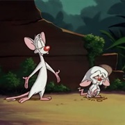 S2.E6: Welcome to the Jungle