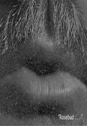 "Rosebud":  Citizen Kane (1941)