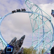 Electric Eel (Seaworld San Diego, USA)