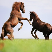 Rostovsky Biosphere Reserve, Russia