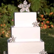 Rhinestone Decorations Around Cake
