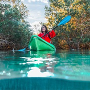 Mangrove National Park