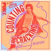 Counting and Cracking