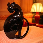 Kaspar the Savoy Cat