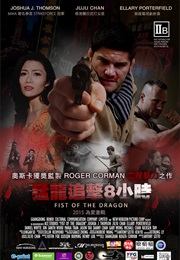 Fist of the Dragon (2014)