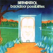 Birth Control - Beedeepees