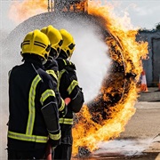 S29.E5: Episode #29.5