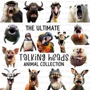 Talking Heads - Animals