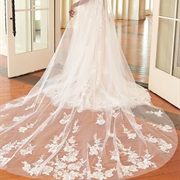 Lace Appliques on Veil