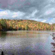 Enfield Wildlife Management Area