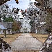 "Spectre" (Big Fish), Jackson Lake Island, AL