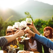 California Wine Tasting