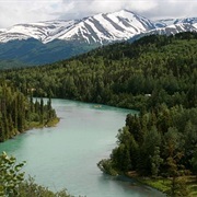 Kenai River Special Management Area