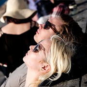 Face to the Sun as Soon as the Sun Comes Out in Spring