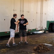 S2.E1: Elephant in the Room