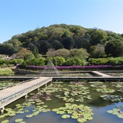 Ashikaga Flower Park