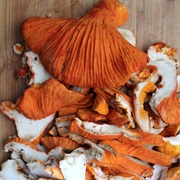 Lobster Mushroom